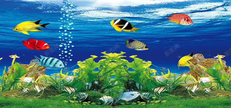 手绘海底水草植物卡通画背景背景
