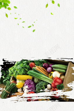 新鲜时蔬蔬菜优惠活动海报背景