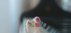 梦幻钢琴钢琴上的小花背景图高清图片