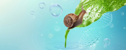 DNA海报清新护肤品蜗牛绿叶背景高清图片