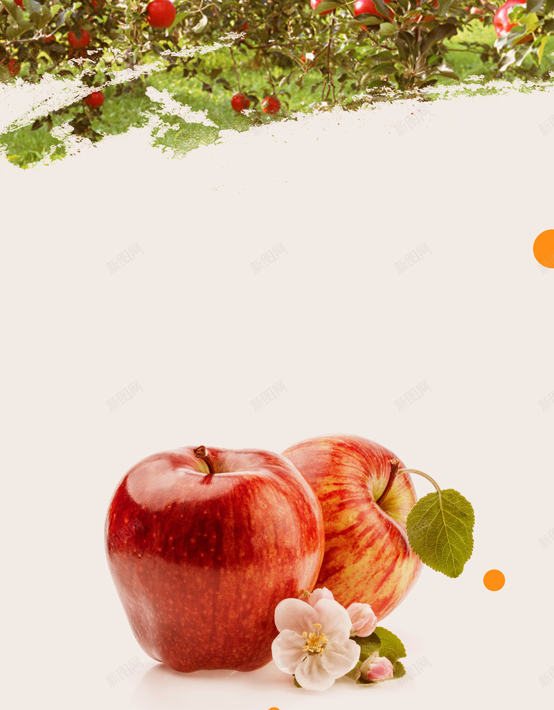 绿色食品水果苹果展板海报psd设计背景_新图网 https://ixintu.com 手绘水果 水彩苹果 水果海报 苹果海报 水果 精品水果 苹果 绿色水果