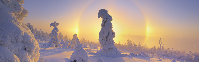 雪景背景图jpg设计背景_新图网 https://ixintu.com 树 雪 光线 梦幻 海报banner 摄影 风景