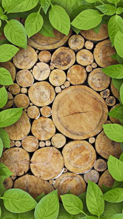 木材环保树木绿叶展示H5背景图高清图片