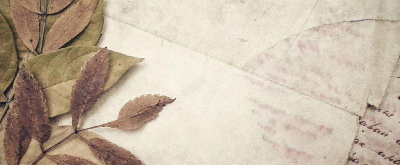落叶与复古英文信纸背景