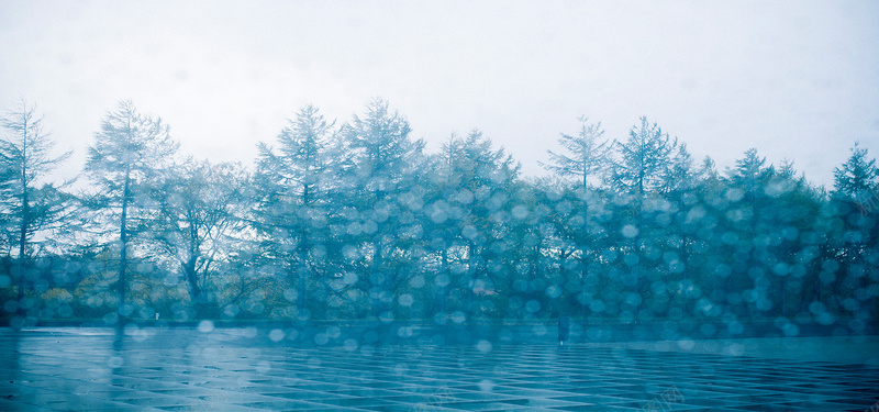 蓝色雨雾树木背景背景