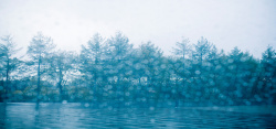 雨雾蓝色雨雾树木背景高清图片