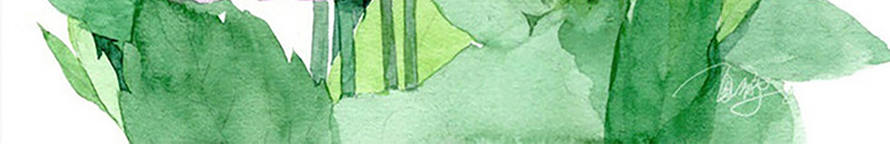水彩花朵背景海报psd设计背景_新图网 https://ixintu.com 水彩花朵 水彩海报 手绘 古风 小清新 花朵 ppt 植物 幸福 温暖 开心