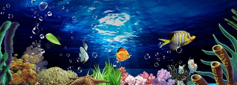 海底世界背景psd设计背景_新图网 https://ixintu.com 海底 珊瑚 鱼 蓝色背景 浪漫 梦幻