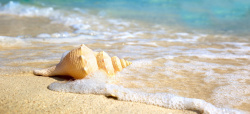 海沙浪漫沙滩高清图片