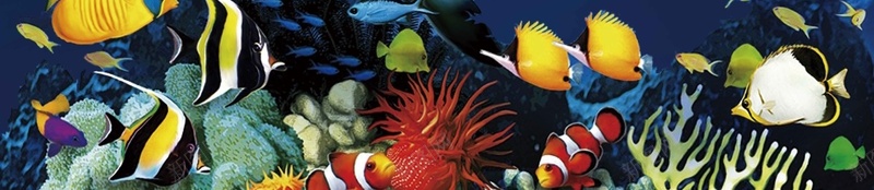 蓝色海洋世界宣传推广活动jpg设计背景_新图网 https://ixintu.com 海洋世界 蓝色 深海 海洋馆 海豚 鱼 大海 蓝海 波纹 旅游 潜水 珊瑚 水波