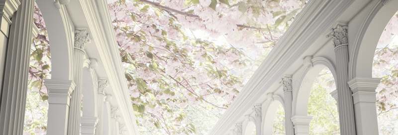 唯美花海背景jpg设计背景_新图网 https://ixintu.com 海报banner 唯美花海背景 婚礼 婚纱 浪漫 梦幻