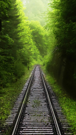 绿林铁轨通向森林H5背景素材高清图片