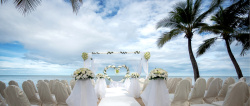 海边婚礼海边婚礼风景椰树婚礼现场浪漫高清图片
