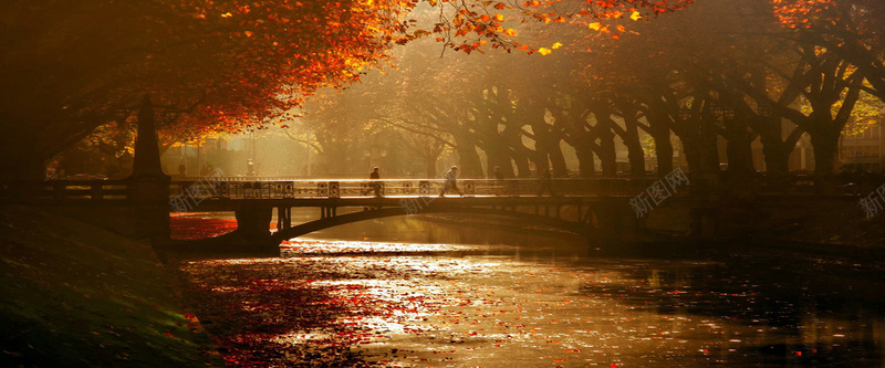 秋天落叶石桥背景背景