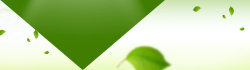 春茶上新设计背景图绿色环保促销背景素材下载高清图片