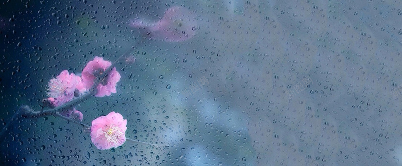唯美雨中花jpg设计背景_新图网 https://ixintu.com 下雨 唯美 玻璃 简约 花 窗外 海报banner 浪漫 梦幻