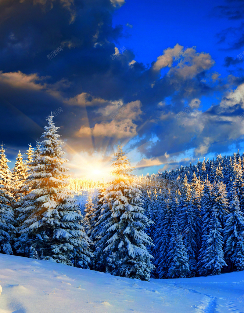冬季唯美风景H5背景jpg设计背景_新图网 https://ixintu.com 天空 蓝色 云朵 树木 雪地 H5 h5 摄影 风景