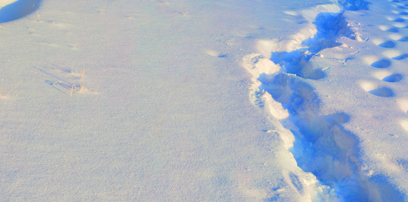 冬季唯美风景H5背景jpg设计背景_新图网 https://ixintu.com 天空 蓝色 云朵 树木 雪地 H5 h5 摄影 风景