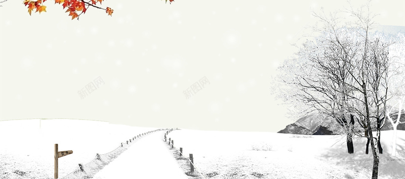 冬季冬天白色枯枝树木叶子psd设计背景_新图网 https://ixintu.com 冬天 冬季 枯枝 树木 白色 叶子 枫叶 雪地 道路 木桩