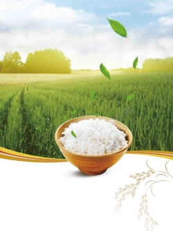 大米促销绿色健康环保有机大米海报背景模板高清图片