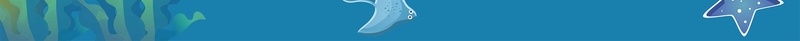 海底世界背景素材jpg设计背景_新图网 https://ixintu.com 海底世界 动物 表演 海报 背景 矢量 卡通 海豚