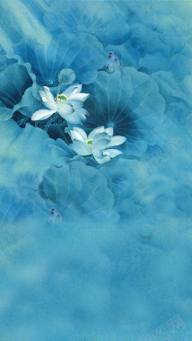 蓝色花卉H5背景背景