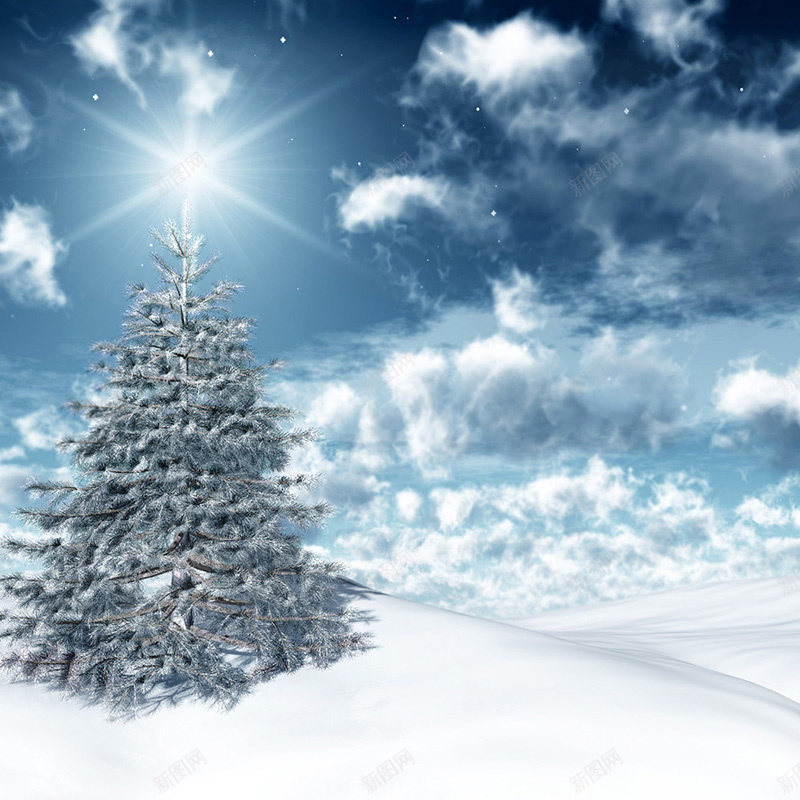 冬季云朵松树背景jpg设计背景_新图网 https://ixintu.com 冬季 云朵 云 松树 雪 天空 圣诞 风景 主图 摄影