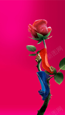 红色玫瑰蓝色高跟鞋浪漫女神节背景图背景