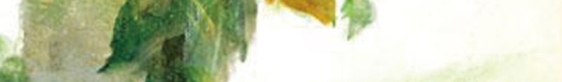 手绘绿色的树背景素材psd设计背景_新图网 https://ixintu.com 手绘 树叶 海报 绿树 背景 psd 高清背景设计图 小鸟 忧伤