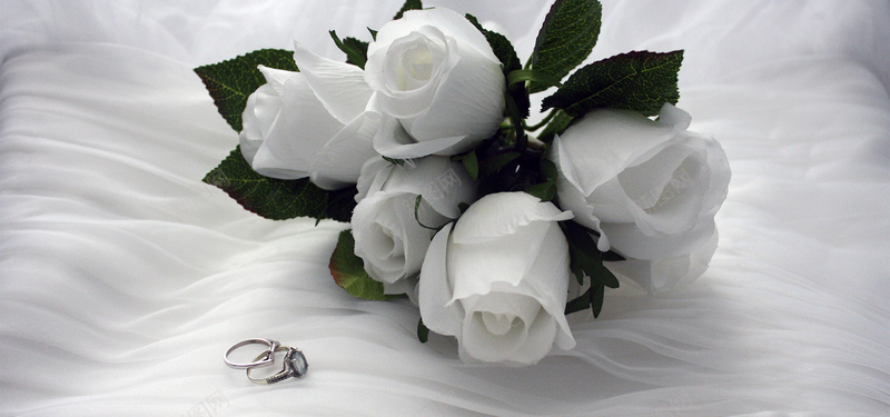 婚纱上的白玫瑰和对戒背景背景