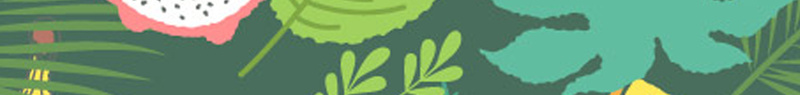 手绘文艺绿色绿叶设计psd设计背景_新图网 https://ixintu.com 手绘 文艺 水果 绿叶 绿色 火龙果 香蕉 设计 扁平 搭配 质感