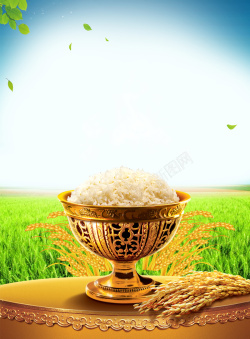 农业宣传海报简约粮食稻谷大米宣传海报宣传单背景素材高清图片