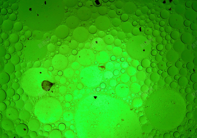 密集气泡背景jpg设计背景_新图网 https://ixintu.com 点线面 密集 气泡 纹理 艺术 质感 绿色 摄影 风景