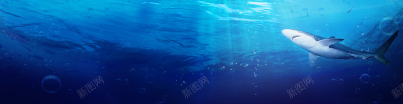 创意海底背景psd设计背景_新图网 https://ixintu.com 创意海报 海底背景 女装 首页海报 海报banner 淘宝女装首页全屏创意海报 浪漫 梦幻