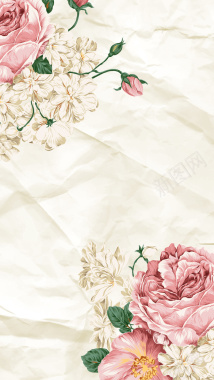 牡丹花朵纹理背景图背景