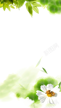 绿色春天花朵源文件H5背景背景