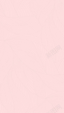 端午节粉色粽叶纹理背景H5背景素材背景