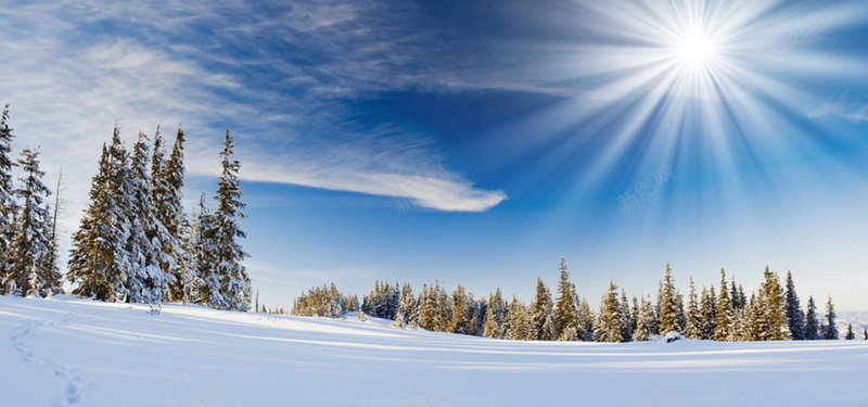 雪地上的树林光线jpg设计背景_新图网 https://ixintu.com 光线 白云 白色 蓝天 雪地 开心 快乐 海报banner