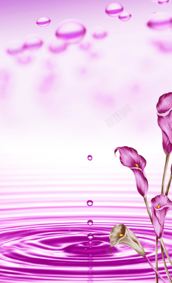 意境瑜伽茶文化紫色康乃馨美容瑜伽意境背景高清图片