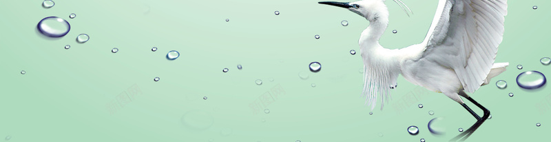 端午节绿色清新竹叶海报背景psd设计背景_新图网 https://ixintu.com 气泡 白鹭 碧玉 竹叶 绿色 端午节 水泉 海报 背景