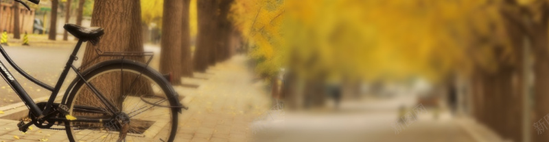 秋天背景图psd设计背景_新图网 https://ixintu.com 海报banner 秋天的树叶 自行车 风景 树 其他