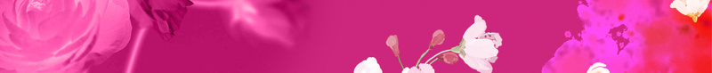 美容x展架背景素材psd设计背景_新图网 https://ixintu.com x展架 蝴蝶结 招募 礼物 美容 超妍标志 丝带 彩球 花朵 展板模板 广告设计模板 源文件