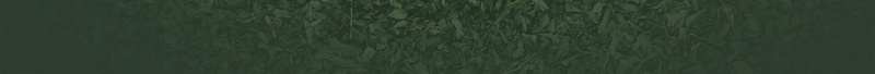 中国风绿色茶叶太极图案背景素材psd设计背景_新图网 https://ixintu.com 中国风 叶子 太极 绿色 茶叶 茶文化 图案 中国文化 古典 海报 背景