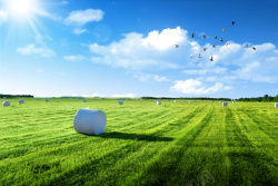 农场绿草蓝色天空绿草地背景高清图片