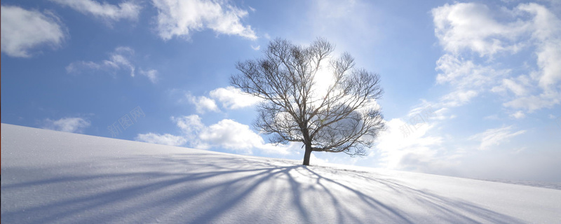 风景jpg设计背景_新图网 https://ixintu.com 背景 树 雪 天空 云朵 海报banner 摄影 风景