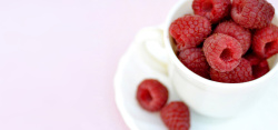 白瓷杯美食树莓蔓越莓瓷杯高清图片
