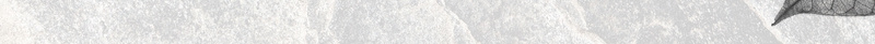 黑白简约风冬季新品上市促销宣传海报psd设计背景_新图网 https://ixintu.com 简约风 上市 冬季 新品 黑白 促销 宣传 树叶 海报