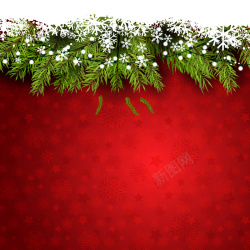 冬季松枝圣诞节喜庆松枝红色背景素材高清图片