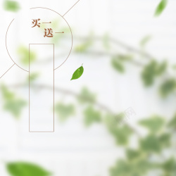 健康产品简约树叶主图高清图片