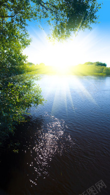 耀眼阳光与树木湖景H5素材背景背景